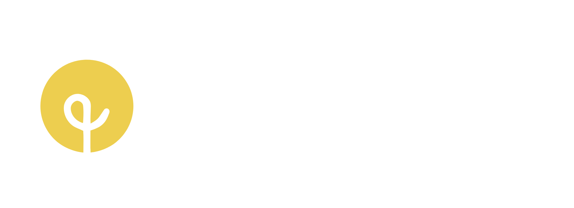 the imagine house