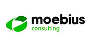 Moebius Consulting