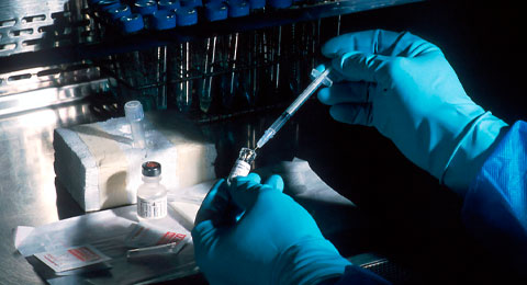 CRIS contra el cáncer importa talento joven investigador CRIS contra el cáncer importa talento joven investigador