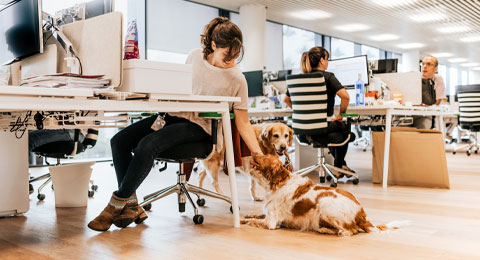 Los perros, grandes aliados para reducir el estrés y la ansiedad en el trabajo