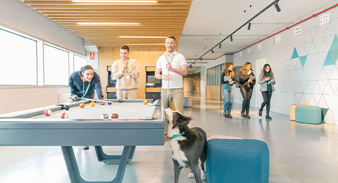¿Te imaginas trabajar junto a tu mascota en la oficina? Cada vez más empresas tienen en cuenta las políticas 'Pet Friendly'
