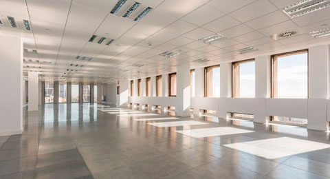La luz natural, el secreto para aumentar la productividad de los empleados