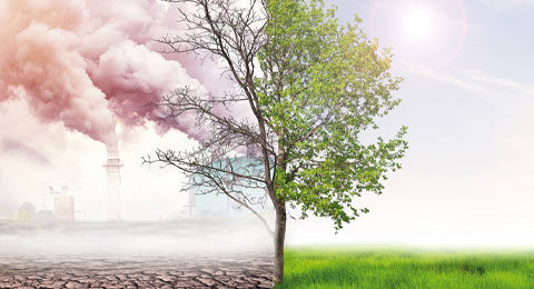La de la sostenibilidad y el cuidado del medio ambiente: ¿Cuántos millones dolares