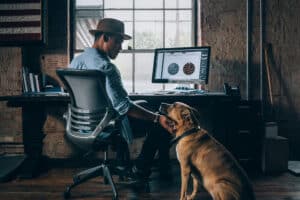 mascotas-empleo-oficina