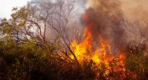 ESPAÑA-INCENDIO-AGOSTO