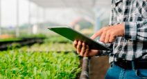 plantilla-foto-campo