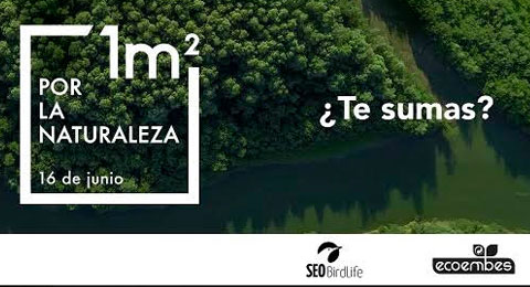 ‘1m2 por la naturaleza’, la gran recogida colaborativa de basuraleza en España