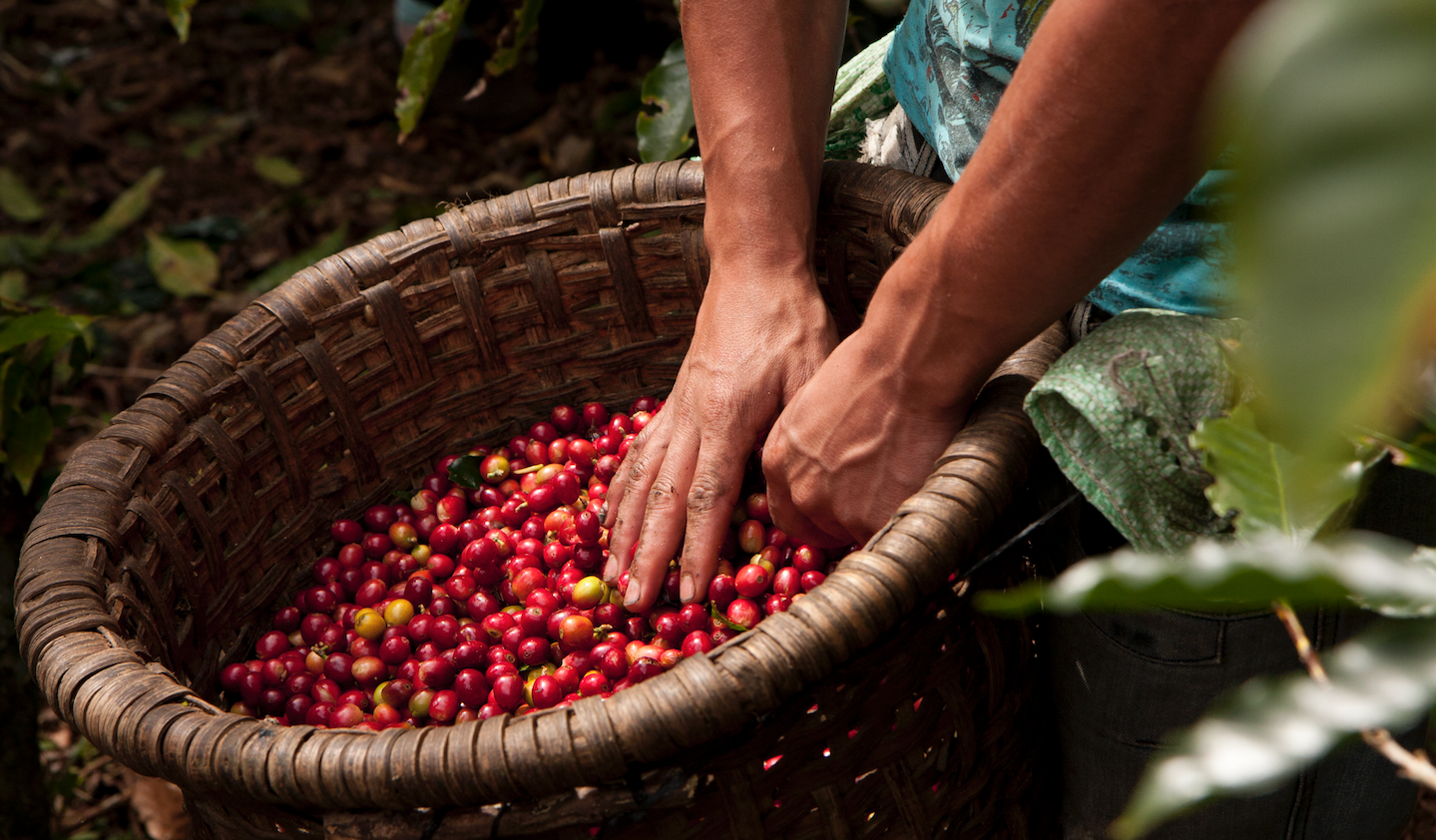 Nespresso sostenibilidad