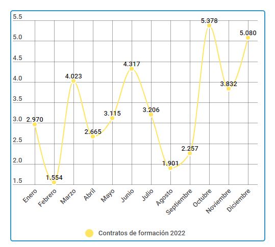 Contratos de formación