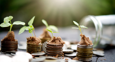 La economía verde se consolida gracias a la creación de 2500 nuevos puestos de trabajo sostenible