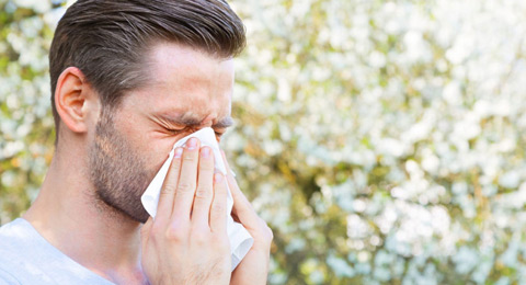¿Quién es el alergias de los RRHH?