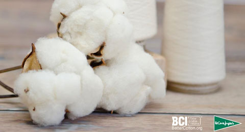 La estrategia de algodón sostenible de El Corte Inglés sigue avanzando