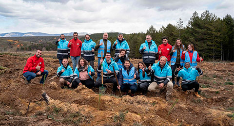 Alsa inicia su proyecto de reforestación para compensar la huella de carbono de los viajes en autobús