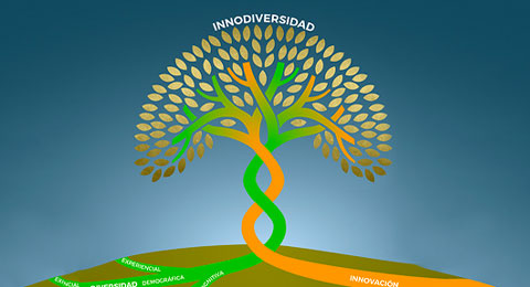 Las empresas del IBEX 35 y las grandes corporaciones lideran la gestión de la Innodiversidad en España