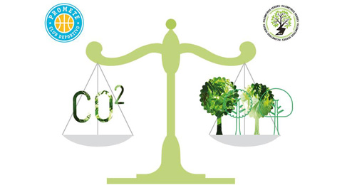 Kilómetros Verdes compensa más de 26 toneladas de CO2 junto al Club Deportivo Promete