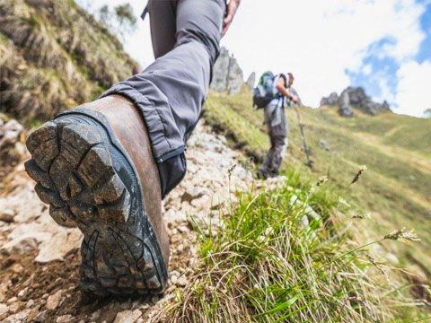 ¿Qué empresa se lleva a su equipo a hacer el Camino de Santiago?