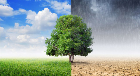 Sostenibilidad empresarial: ¿Pueden las empresas ayudar a frenar el cambio climático?