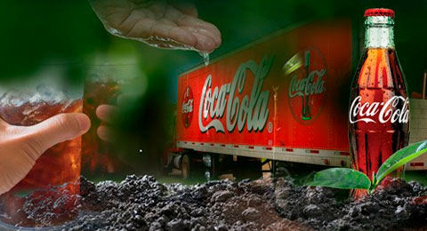 Los avances de Coca-Cola en su estrategia de sostenibilidad 'Avanzamos'