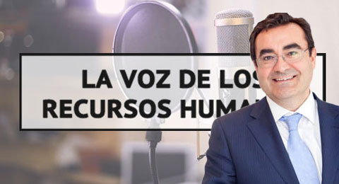 David Martín, de Steelcase, en 'La Voz de los RRHH': "Es fundamental que los empleados puedan elegir y controlar su espacio de trabajo"