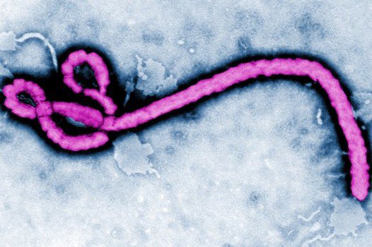 La enfermera infectada con ébola se enteró de su contagio por la prensa