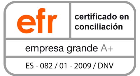 Reale Seguros obtiene la certificación efr en conciliación e igualdad