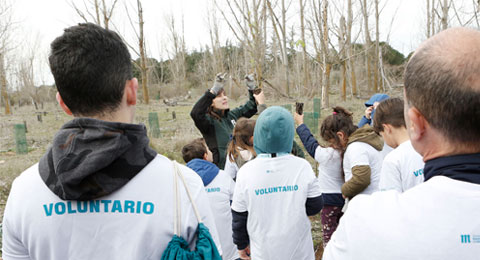 Empleados de Mahou San Miguel donan parte de su sueldo mensual a iniciativas solidarias