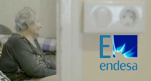 Endesa y ECODES lanzan su programa de Voluntariado Energético