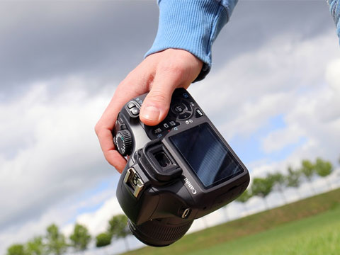 ¿Qué fotografía ha levantado las carcajadas y la curiosidad de sus empleados?