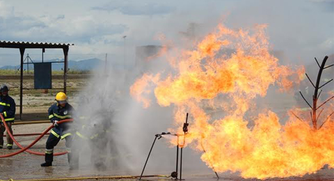 ENDESA y ENAGAS adjudican a ILUNION Seguridad su formación en control y extinción de incendios