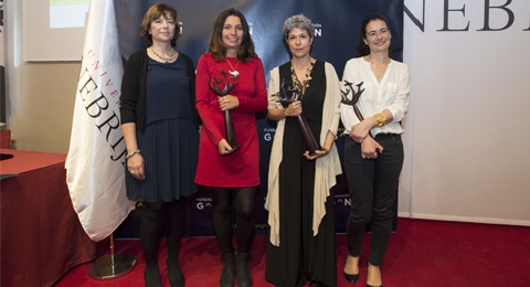 Entregado el II Premio Periodismo Fundación Grupo Norte contra Violencia de Género