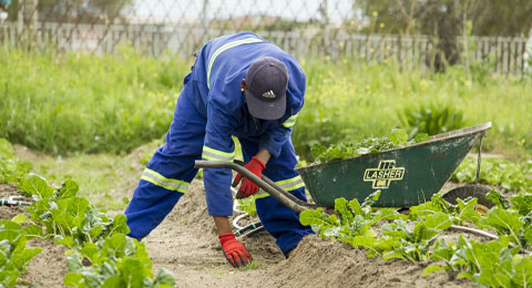 El auge de la sostenibilidad dispara la demanda de jardineros y paisajistas