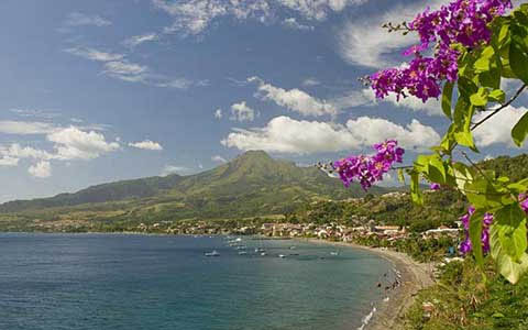 ¿Qué director de recursos humamos se marcha de vacaciones a Martinica?