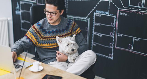 Pets at Work Alliance, iniciativa para que los empleados puedan llevar a sus mascotas al trabajo