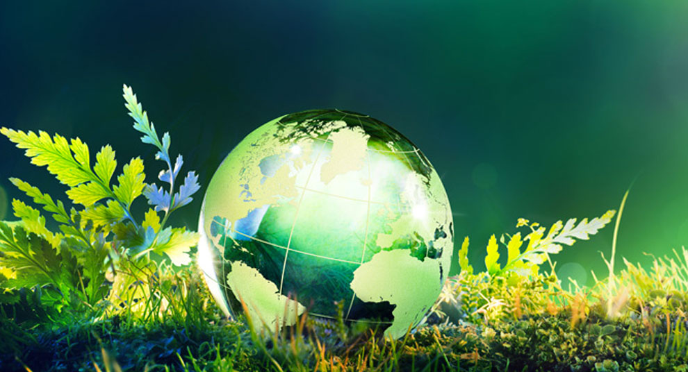 Cinco grandes iniciativas de cuidado de medio ambiente
