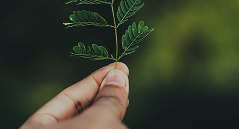 Conoce la empresa que apuesta por su estrategia medioambiental con la creación de un nuevo cargo