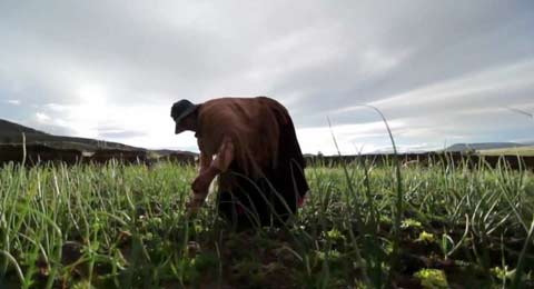 ATA con la mujer rural