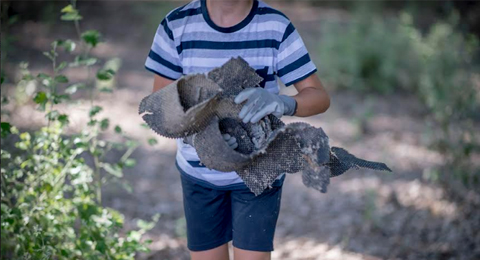 Los niños, pilar fundamental para el futuro del medio ambiente