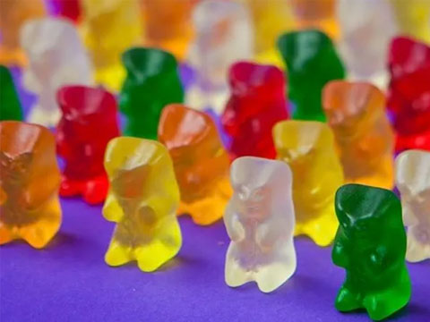 ¿En qué país son indispensables los ositos Haribo en las ferias de empleo?