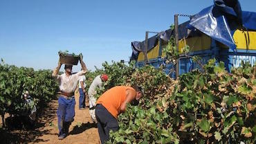 Se reducirán de 35 a 20 las peonadas mínimas para cobrar el subsidio agrario