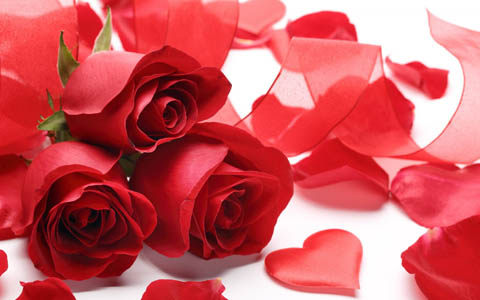 ¿Qué director de recursos humanos es un 'enamorado' de San Valentín?