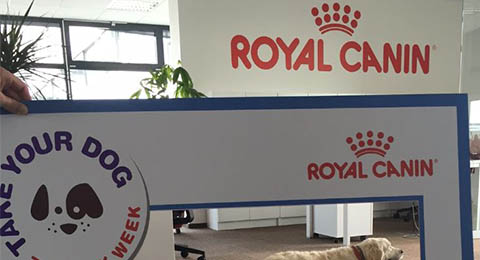 Royal Canin celebra el día internacional “Take your dog to work”