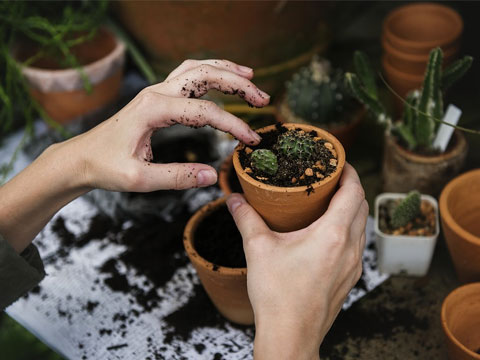 ¿Qué directores de RRHH son dos 'maestros jardineros'?