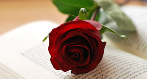 La venta de rosas online por Sant Jordi, deslocalización del negocio