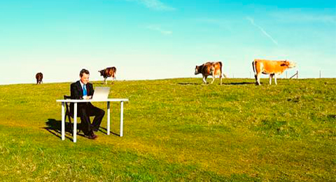 Felicidad en el lugar de trabajo remoto