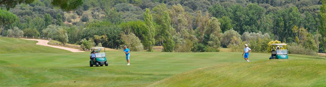 Torneo golf 