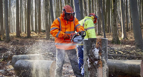 Los accidentes laborales en el sector forestal se disparan