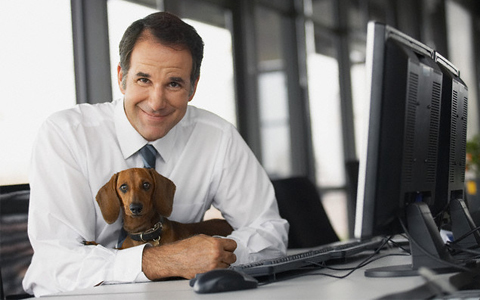 ¿En qué compañía puedes trabajar acompañado de tu mascota?