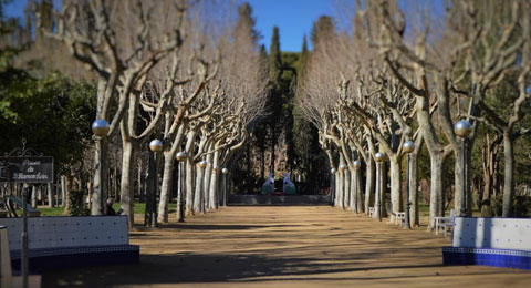 Salud y deporte, el plato fuerte del turismo de Congresos