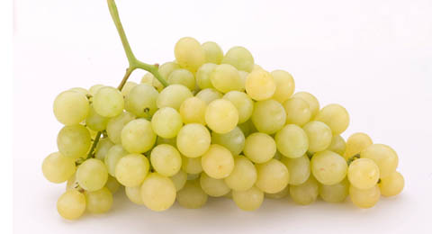 La uva crea 13.000 empleos para cubrir la demanda de Nochevieja